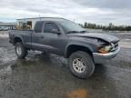 2004 Dodge Dakota SLT