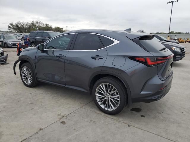 2025 Lexus NX 350 Premium