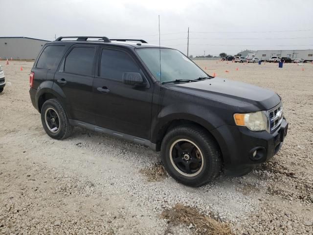 2011 Ford Escape XLT