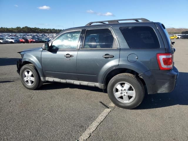 2009 Ford Escape XLT