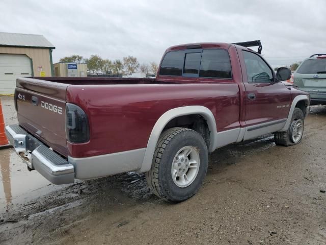 2000 Dodge Dakota