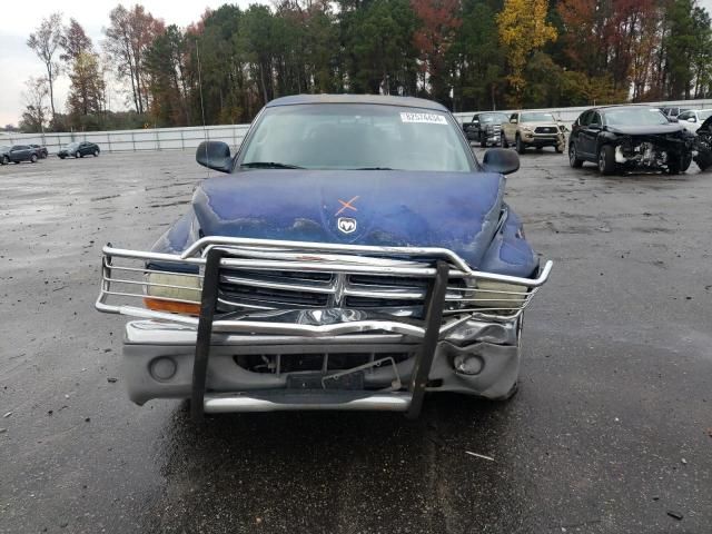 2001 Dodge Dakota Quattro