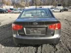 2010 KIA Forte EX