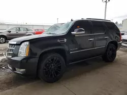 Cadillac salvage cars for sale: 2013 Cadillac Escalade Platinum