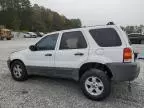 2007 Ford Escape XLT