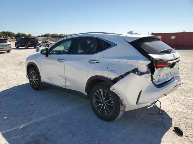 2024 Lexus NX 250 Premium