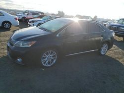 Lexus hs salvage cars for sale: 2010 Lexus HS 250H