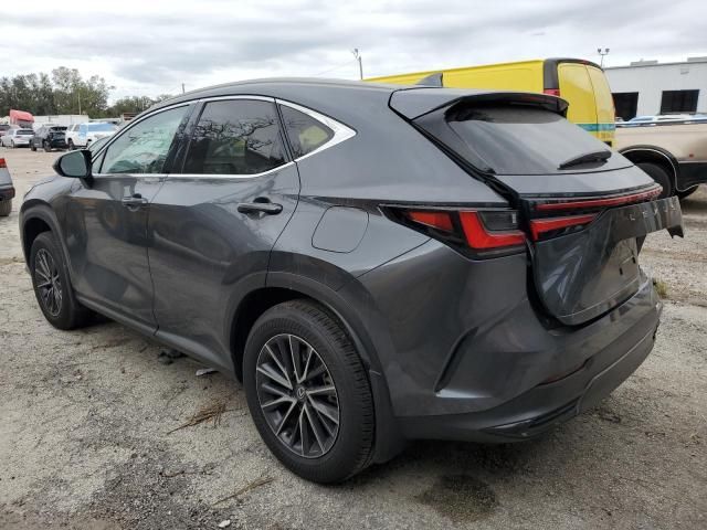 2024 Lexus NX 250 Premium