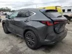 2024 Lexus NX 250 Premium