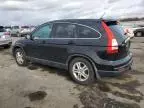 2010 Honda CR-V EXL