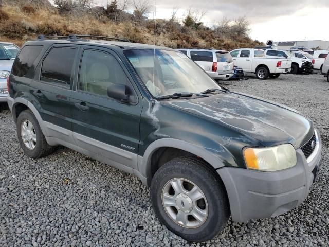 2002 Ford Escape XLT