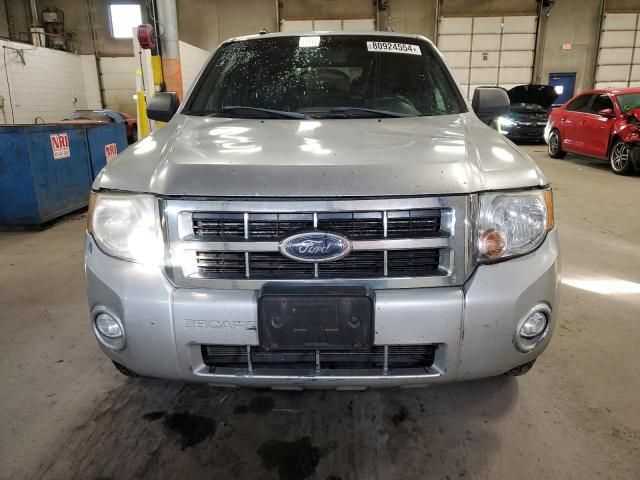 2008 Ford Escape XLT