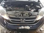 2010 Honda CR-V EXL