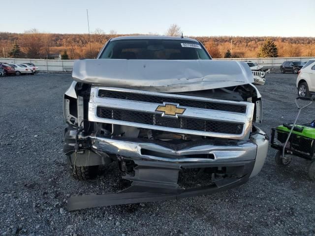 2010 Chevrolet Silverado K1500 LS