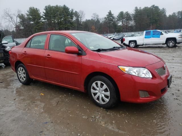 2010 Toyota Corolla Base