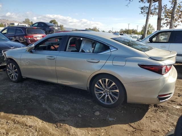 2020 Lexus ES 300H