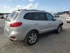 2007 Hyundai Santa FE SE