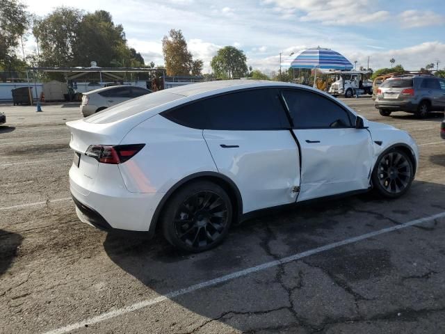 2020 Tesla Model Y