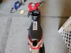 2021 Genuine Scooter Co. Buddy 50