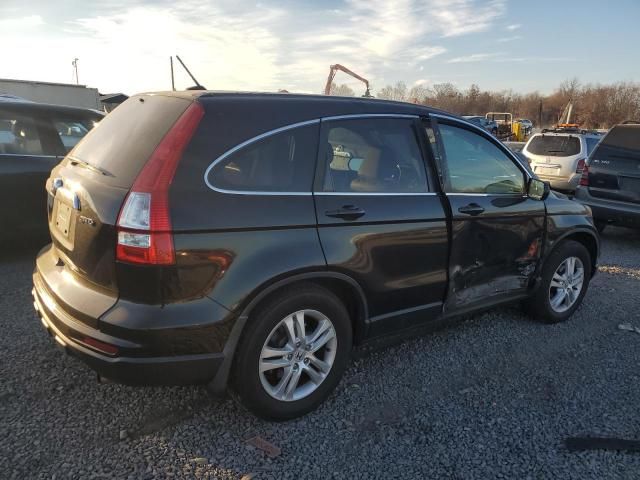 2010 Honda CR-V EXL