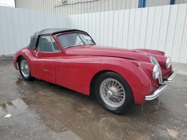 1954 Jaguar XK120