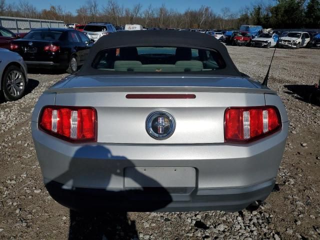 2010 Ford Mustang