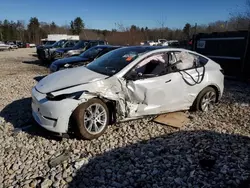 Tesla Vehiculos salvage en venta: 2024 Tesla Model Y