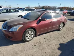 Nissan salvage cars for sale: 2010 Nissan Altima Base