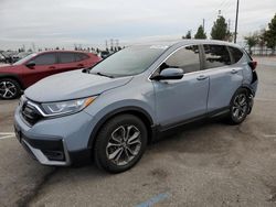 2020 Honda CR-V EXL en venta en Rancho Cucamonga, CA