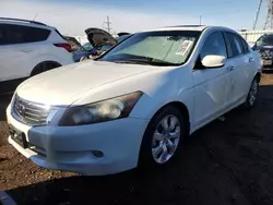 Salvage Cars with No Bids Yet For Sale at auction: 2009 Honda Accord EXL