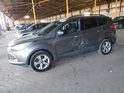 Salvage SUVs for sale at auction: 2014 Ford Escape SE