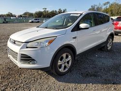 Carros salvage sin ofertas aún a la venta en subasta: 2013 Ford Escape SE