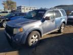 2009 Ford Escape XLT