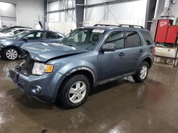 Salvage cars for sale at Ham Lake, MN auction: 2010 Ford Escape XLT