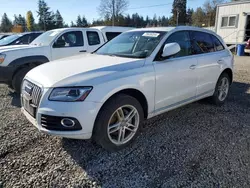 Audi salvage cars for sale: 2013 Audi Q5 Premium Plus