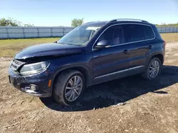 Volkswagen Vehiculos salvage en venta: 2015 Volkswagen Tiguan S