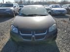 2006 Dodge Stratus SXT