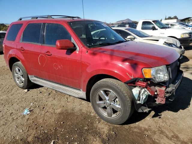 2009 Ford Escape Limited