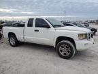 2009 Dodge Dakota SXT