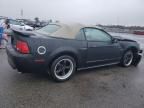 2001 Ford Mustang GT