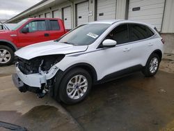 Salvage cars for sale from Copart Louisville, KY: 2020 Ford Escape SE