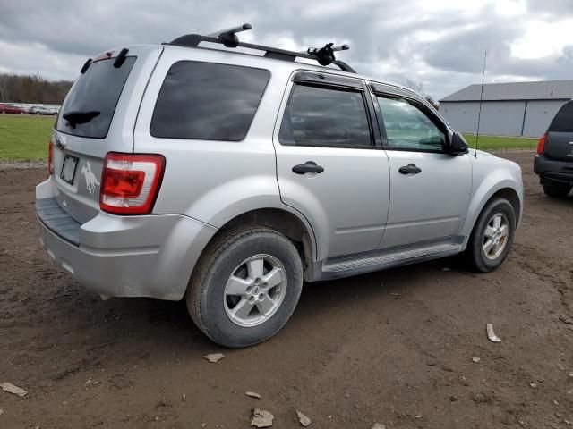 2010 Ford Escape XLT