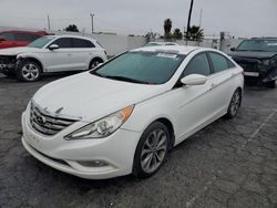 Salvage cars for sale at Van Nuys, CA auction: 2013 Hyundai Sonata SE