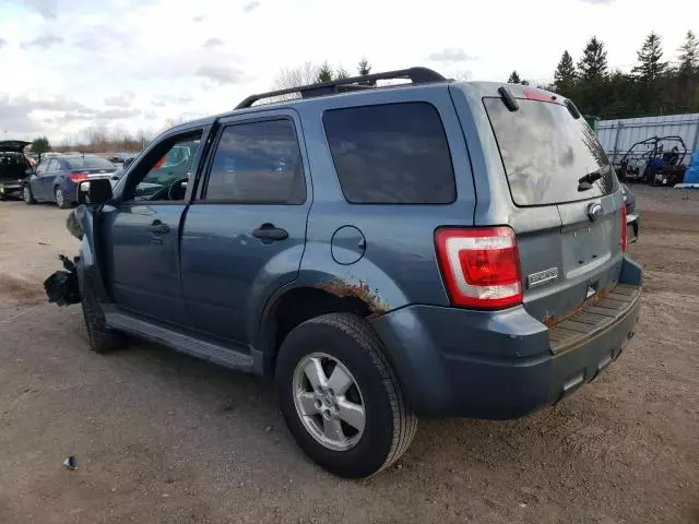 2011 Ford Escape XLT