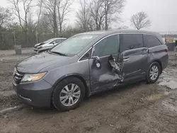 Honda Vehiculos salvage en venta: 2016 Honda Odyssey EXL