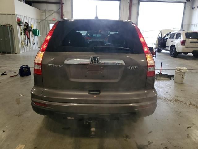 2010 Honda CR-V EXL