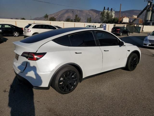 2020 Tesla Model Y