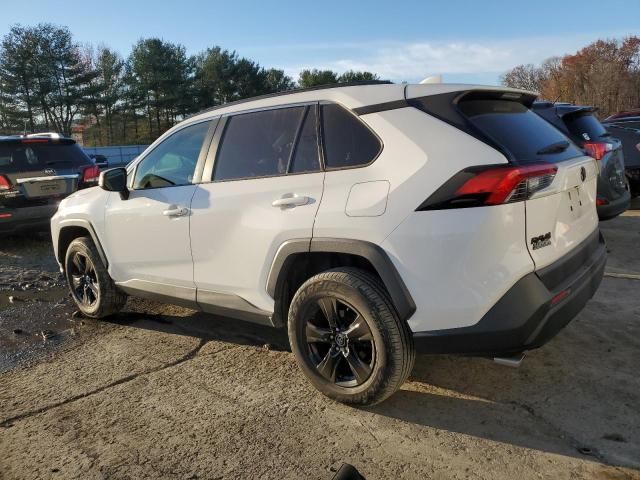 2019 Toyota Rav4 XLE