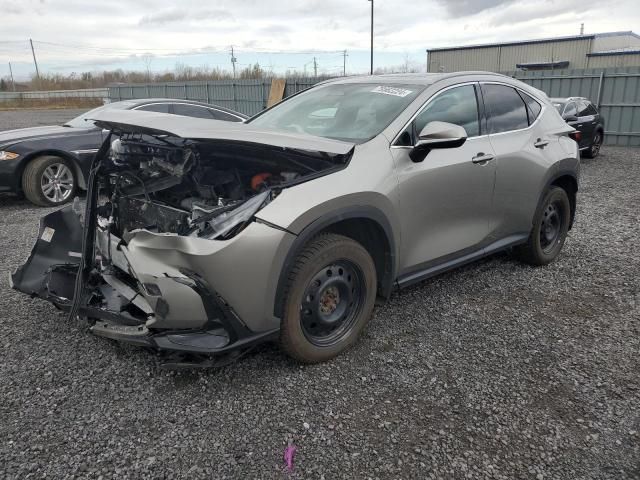 2024 Lexus NX 350H Base