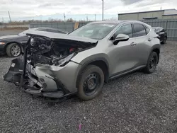 Lexus nx 350h ba Vehiculos salvage en venta: 2024 Lexus NX 350H Base